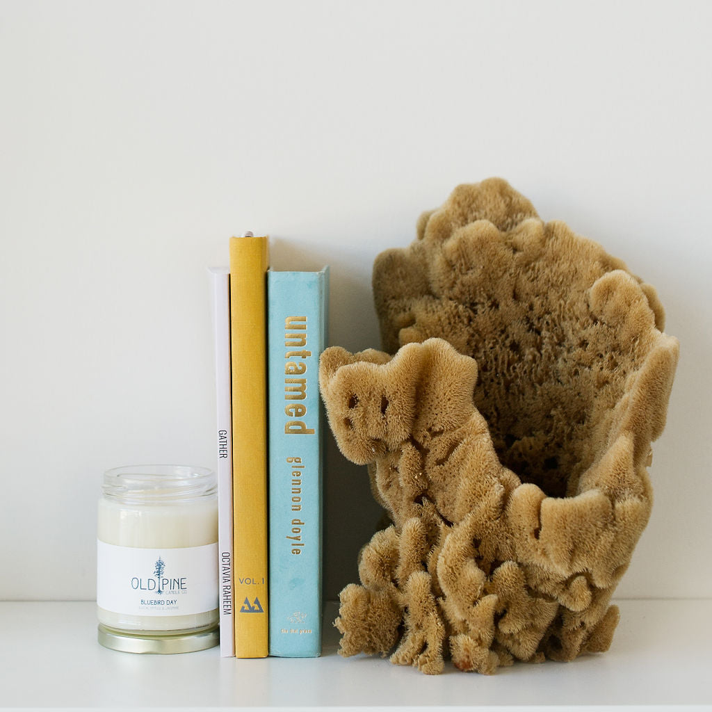 March Candle of the Month