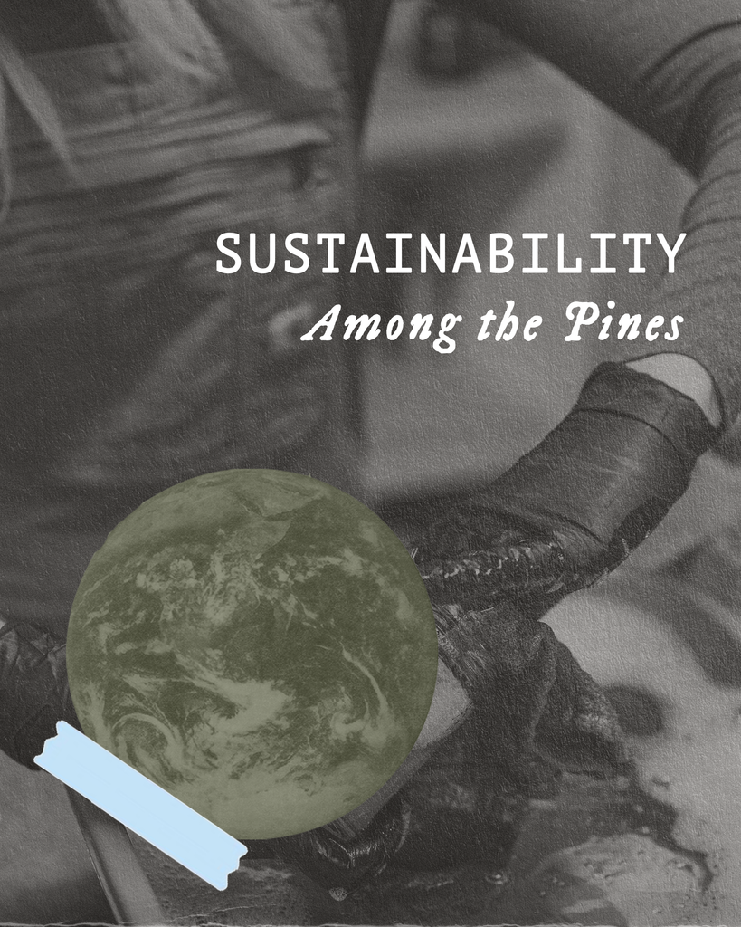 Reduce your Environmental Impact- Among the Pines - 10.8.2025